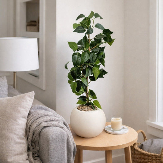 Plante Décorative Intérieure Pot Blanc